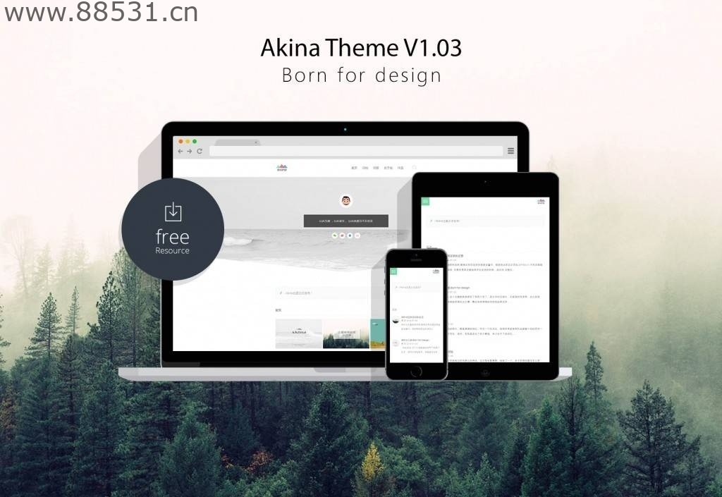 WordPress主题 极简主题Akina