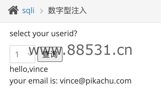 Pikachu靶场通关记录(详细)