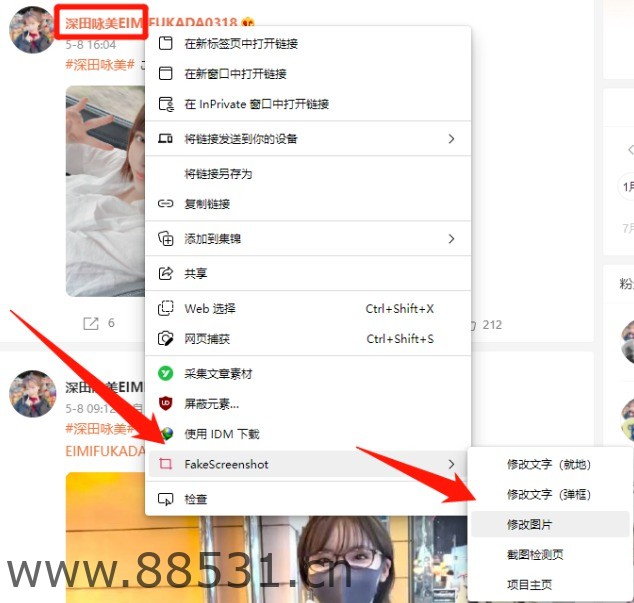 FackScreenshot网页随心改插件