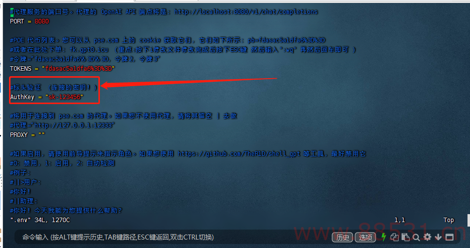 一键搭建POE中转接口 转发（实现低价GPT4.0 转发）
