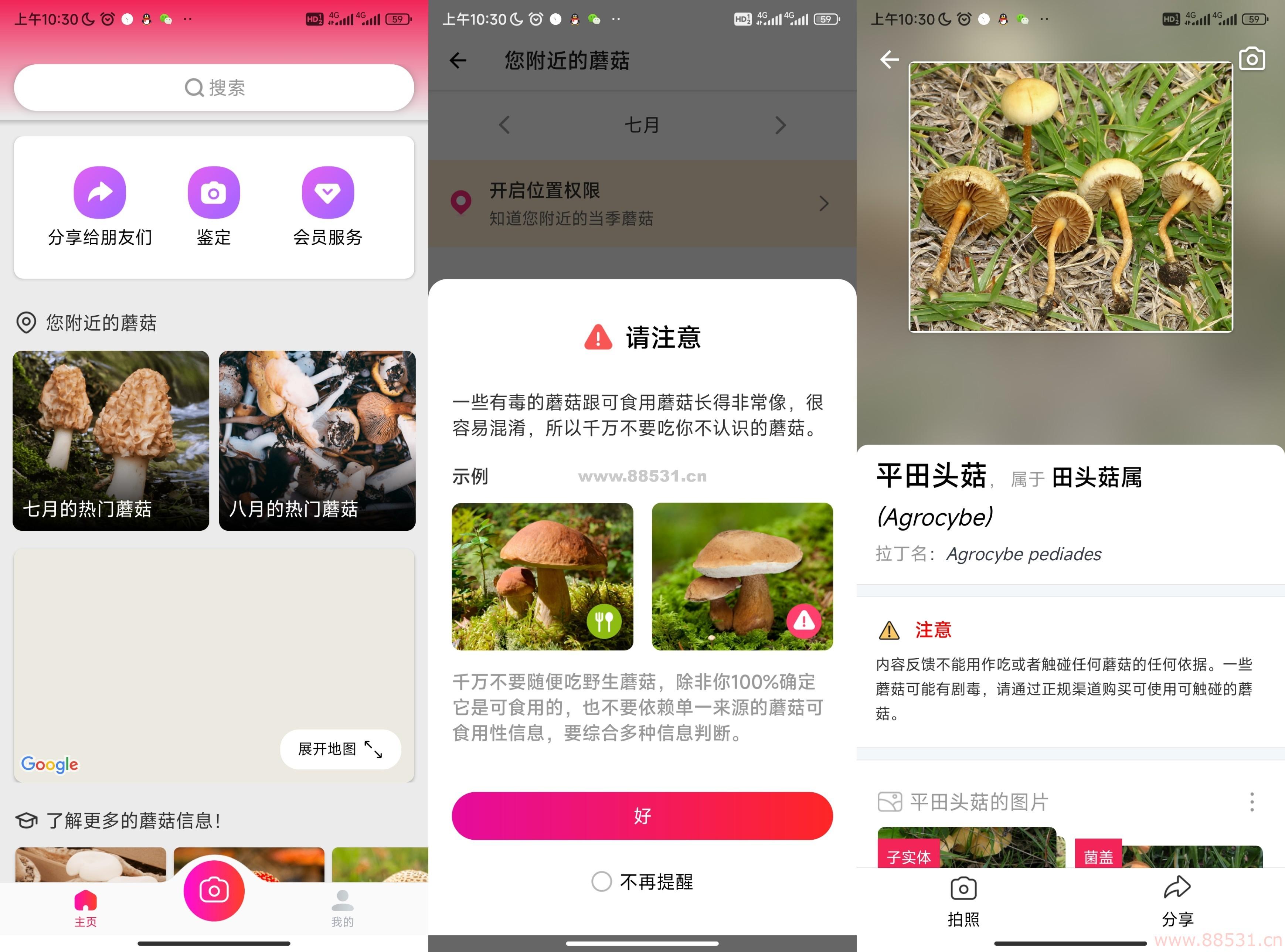 你不中毒的神器 蘑菇识别APP