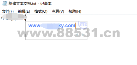 PC版讯飞输入法v3.0.1734纯净版