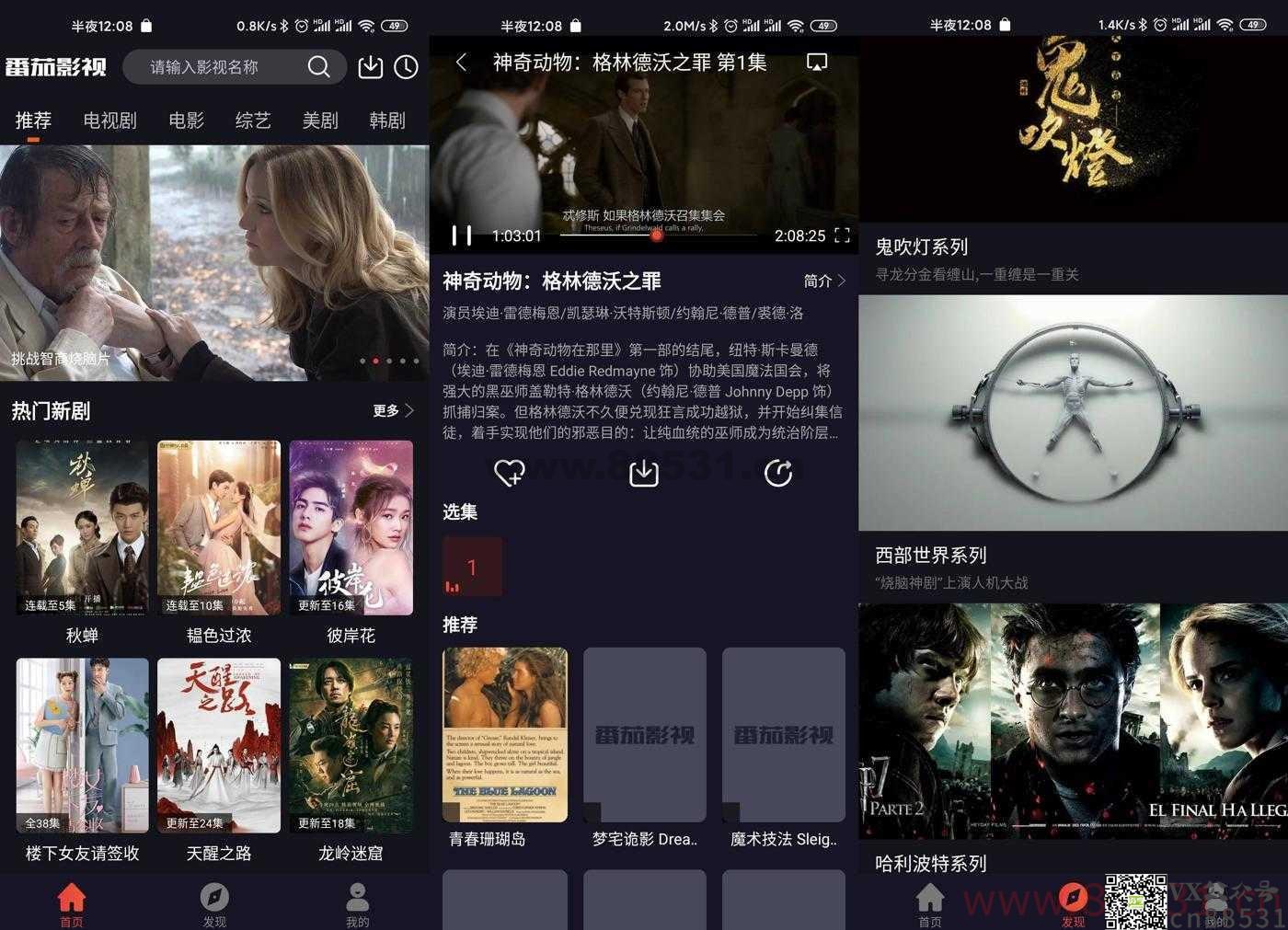 安卓番茄影视v9.9纯净版