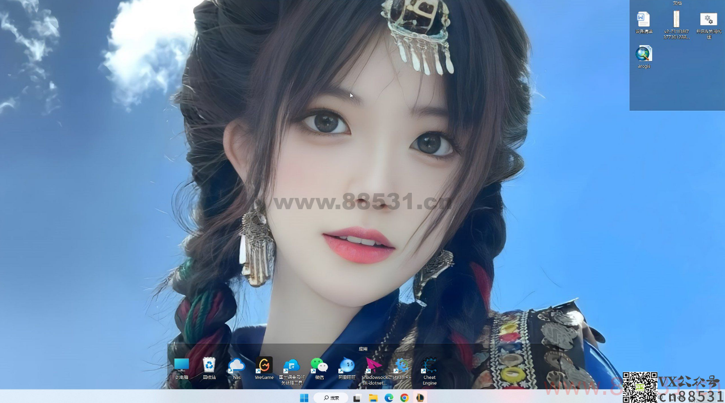 桌面分类软件，coodesker(酷呆桌面v1.0.3.6)