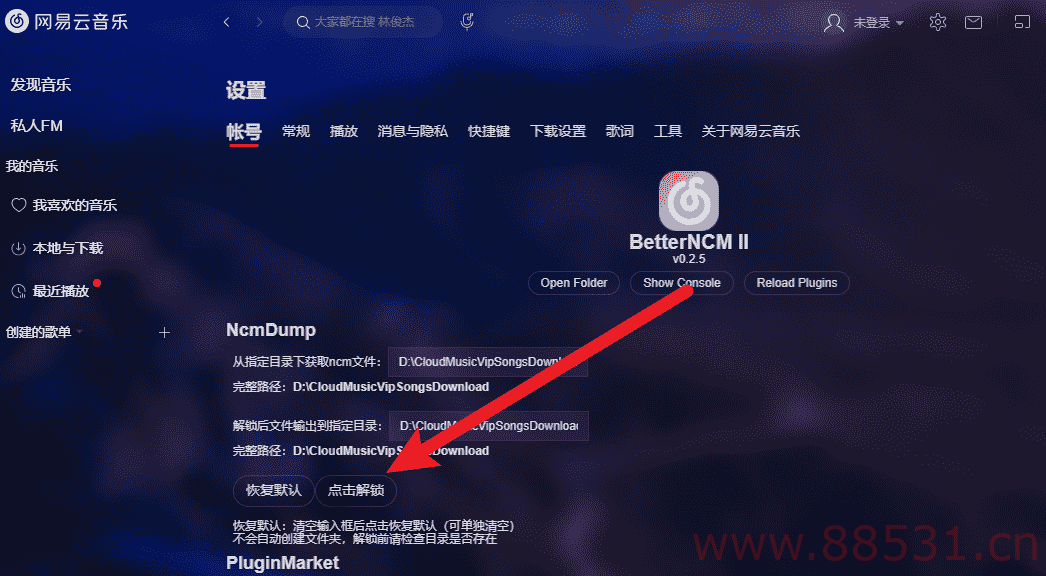 PC插件一键魔改网易云音乐牛b
