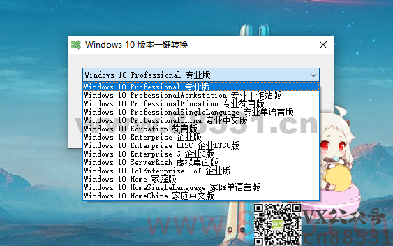 【电脑软件】Win10版本一键转换工具