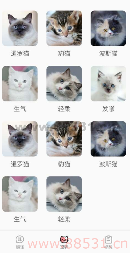 猫语翻译君 猫主子说的话可以转人声，你的声音也可以转成猫猫听得懂的猫语。