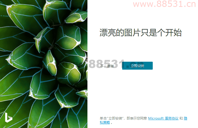 必应桌面壁纸Bing Wallpaper v2.0.0.5