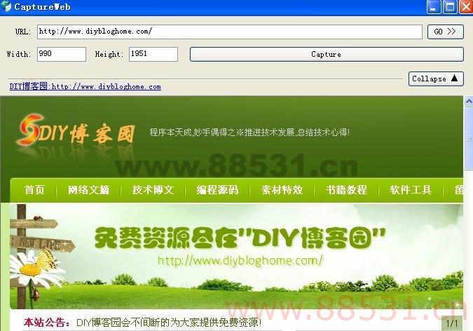 网站截图工具加源码