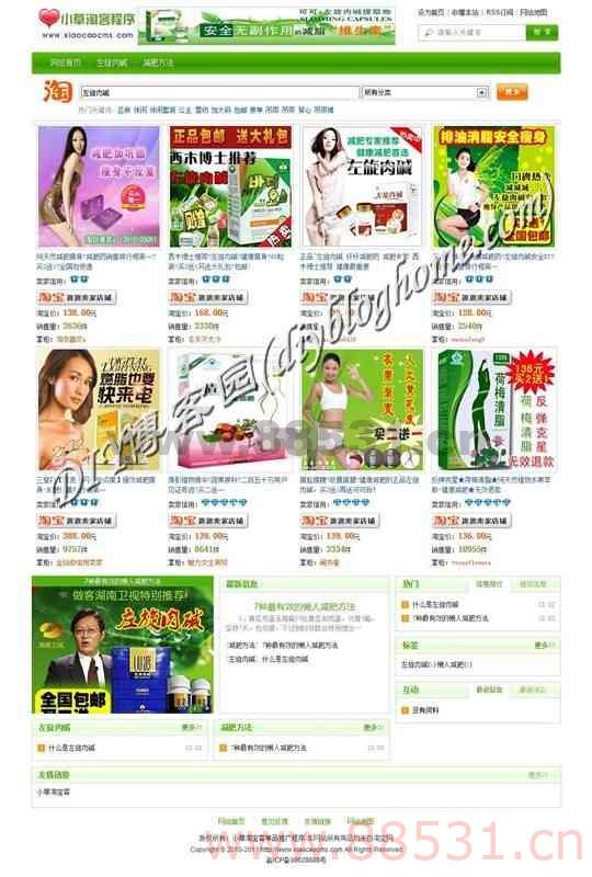 绿色清新版淘宝客单品推广程序商业版
