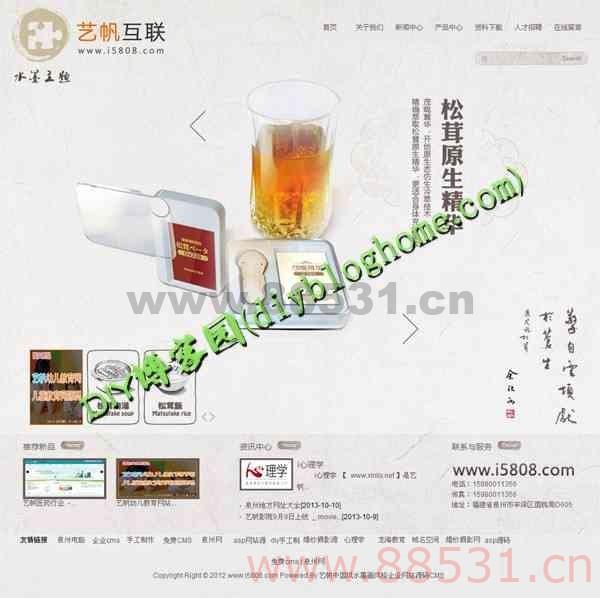 中国风水墨画风格企业网站ASP源码