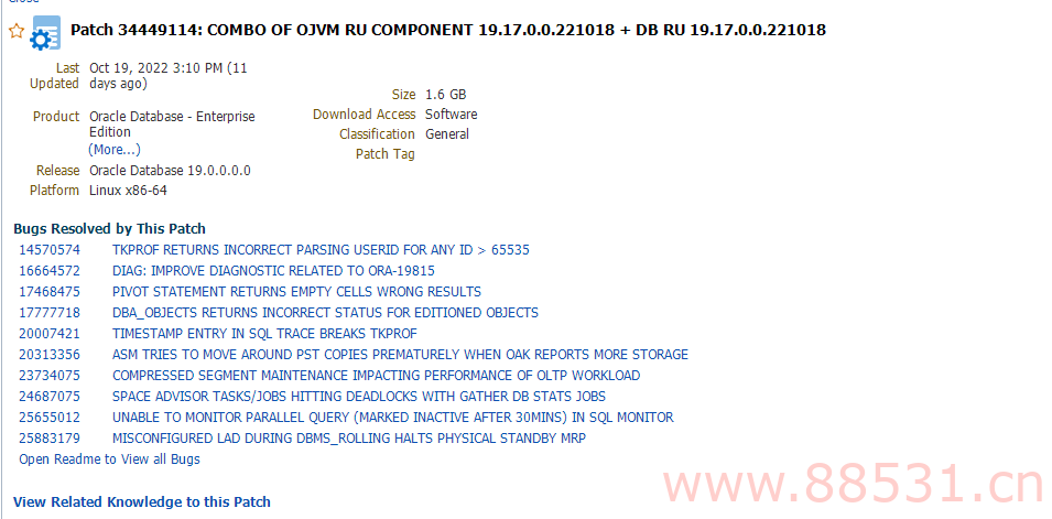 Oracle 19c Linux PSU 19.17最新补丁包下载 20221018 CVE DB OJVM OPatch 34449114 34449117 漏洞 等保支持远程修复 2022年10月