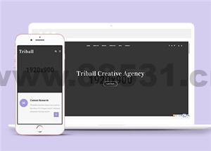 简约企业机构网站Bootstrap5模板下载
