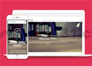 简洁PHP编程教育机构HTML5网站模板