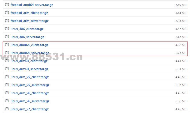 nps内网穿透工具的安装和使用-军哥驿站