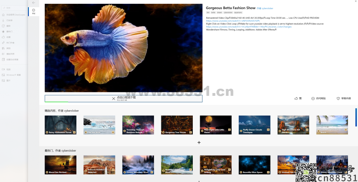 酷炫的梦幻动态视频桌面特效美化软件DeskScapes v11