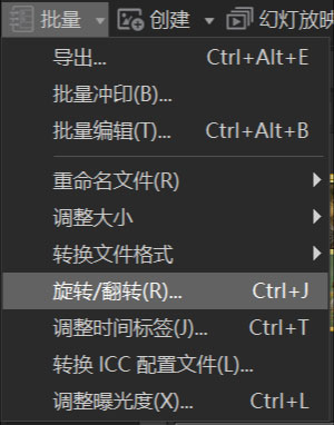 ACDSee2024批量处理介绍2