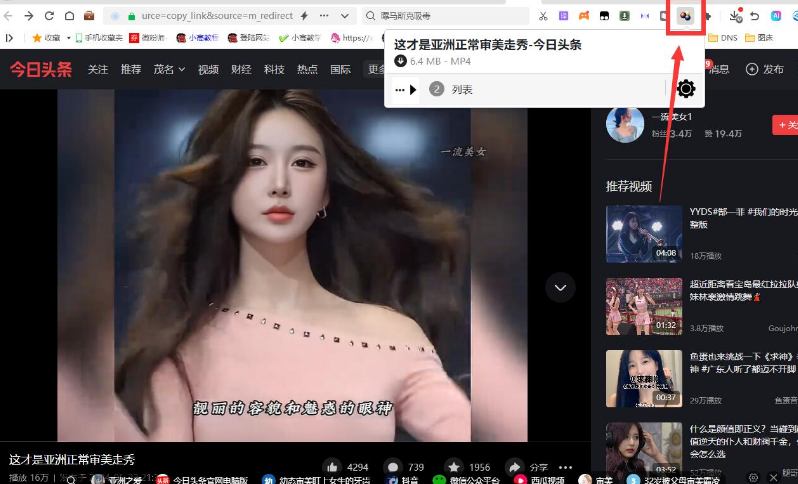 高级版网页视频下载神器video downloadhelper 7.3.5.0