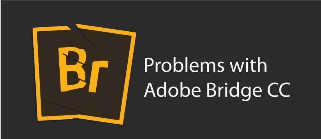 Adobe Bridge「Br」2024照片管理安装包下载+详细安装教程