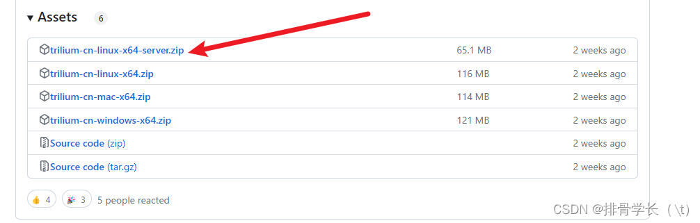 搭建trilium笔记到Linux宝塔centos下