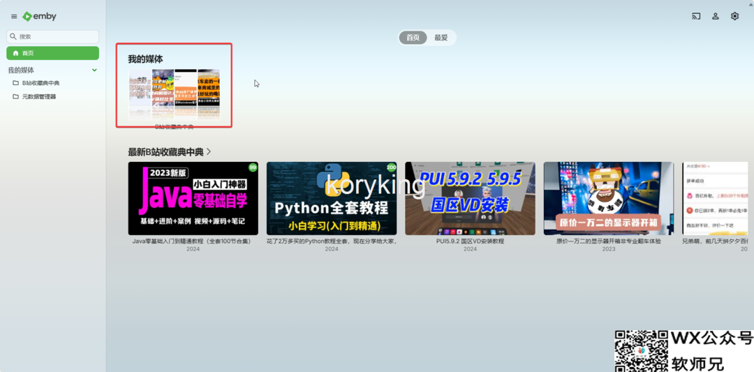 【更新支持合集】B站收藏夹自动同步到本地并导入emby生成海报墙（bili-sync-rs&emby部署教程）