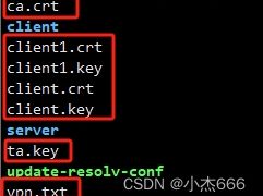 在Ubuntu22.04中安装OpenVpn客户端