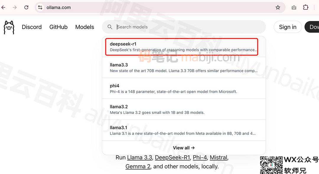 deepseek-r1大模型