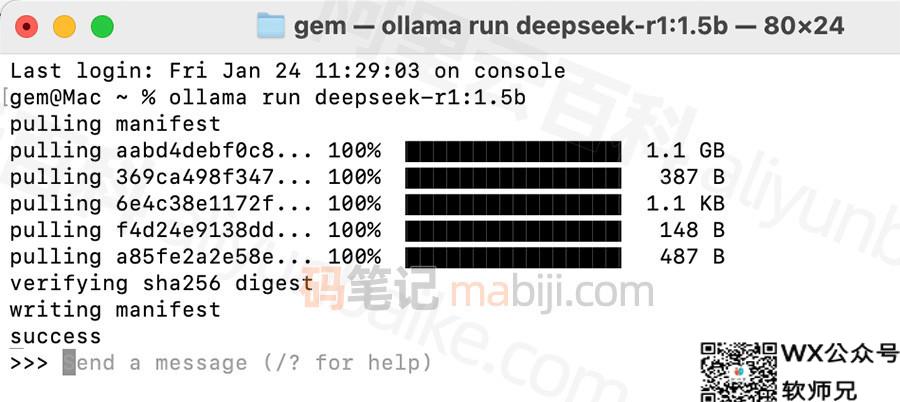 DeepSeek pulling manifest