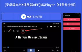 (安卓版本MX播放器APP)MXPlayer— V1.82.7 【付费专业版】00107