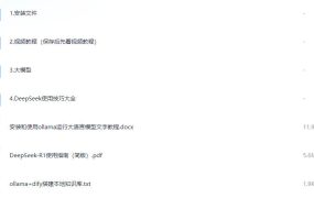 【DeepSeek本地部署】2025最新视频教程+全套安装包 占【18.2G】