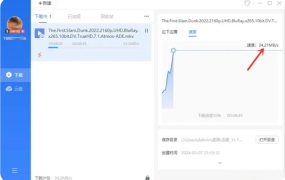 PC迅雷电脑版 v11.1.12【86M】解锁会员版/不限速绿色便携版破解方法A114