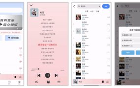 青听音乐 1.0.3 免费版 全网音乐免费听，无损下载，无需登录，永久免费无广告 [25.3M]00151