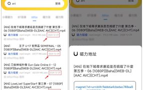 闪电磁力V1.1.5 安卓版 [17.5M]（超强磁力搜索工具 电影/音乐/纪录片一网打尽)