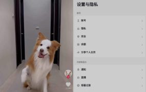 多版本TikTok v37.9.3 2025抖音国际版解锁版+配套功能插件