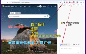 集成Deepseek的 Google Chrome稳定版134.0.6998.89Chrome绿色便携版 持续更新