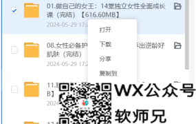 迅雷11纯净无广告[pc版]，V11.1.12，3月5日最新版，不限速下载，真正可以网盘取回 【65.7MB】A120