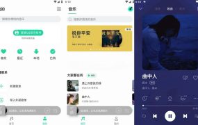 QQ音乐 v11.3.7 安卓版 [98.9M] 魅族定制提取版，纯净去广告版