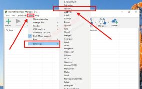 IDM下载工具利器 v6.42.31电脑版永久激活 直装高级/下载神器[14.7MB]