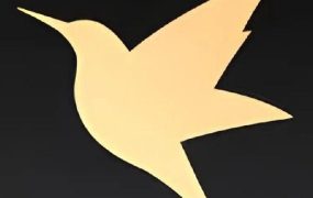 安卓手机迅雷 v8.06.0.9131 内置Hook模块 绿化SVIP 去广告 登录即用