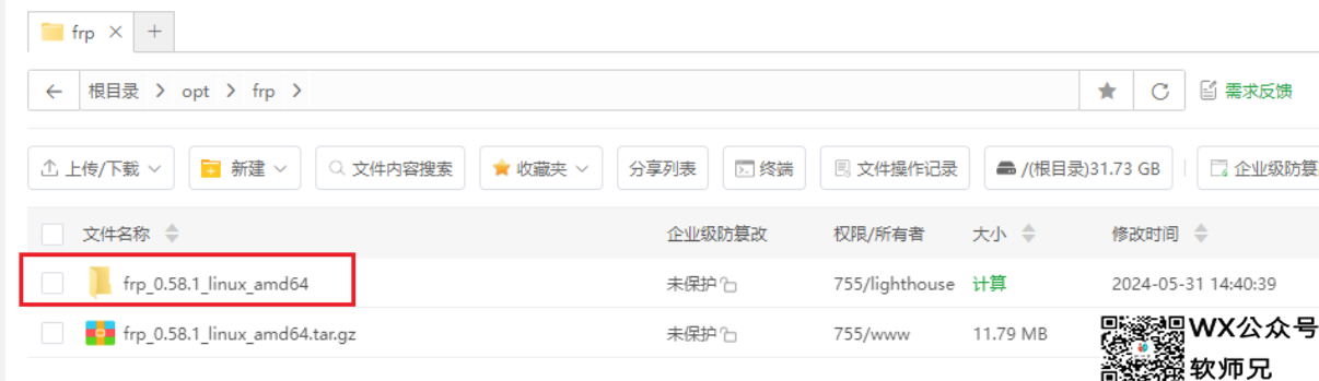 frp内网穿透 宝塔部署服务端、客户端教程