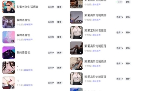 【安卓+IOS】最新最全骚气导航语音包v1.0（支持百度/高德地图）内附安装教程