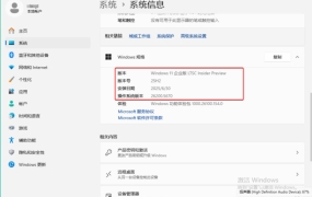 Win11 25H2 简体中文专业版 + 企业版下载