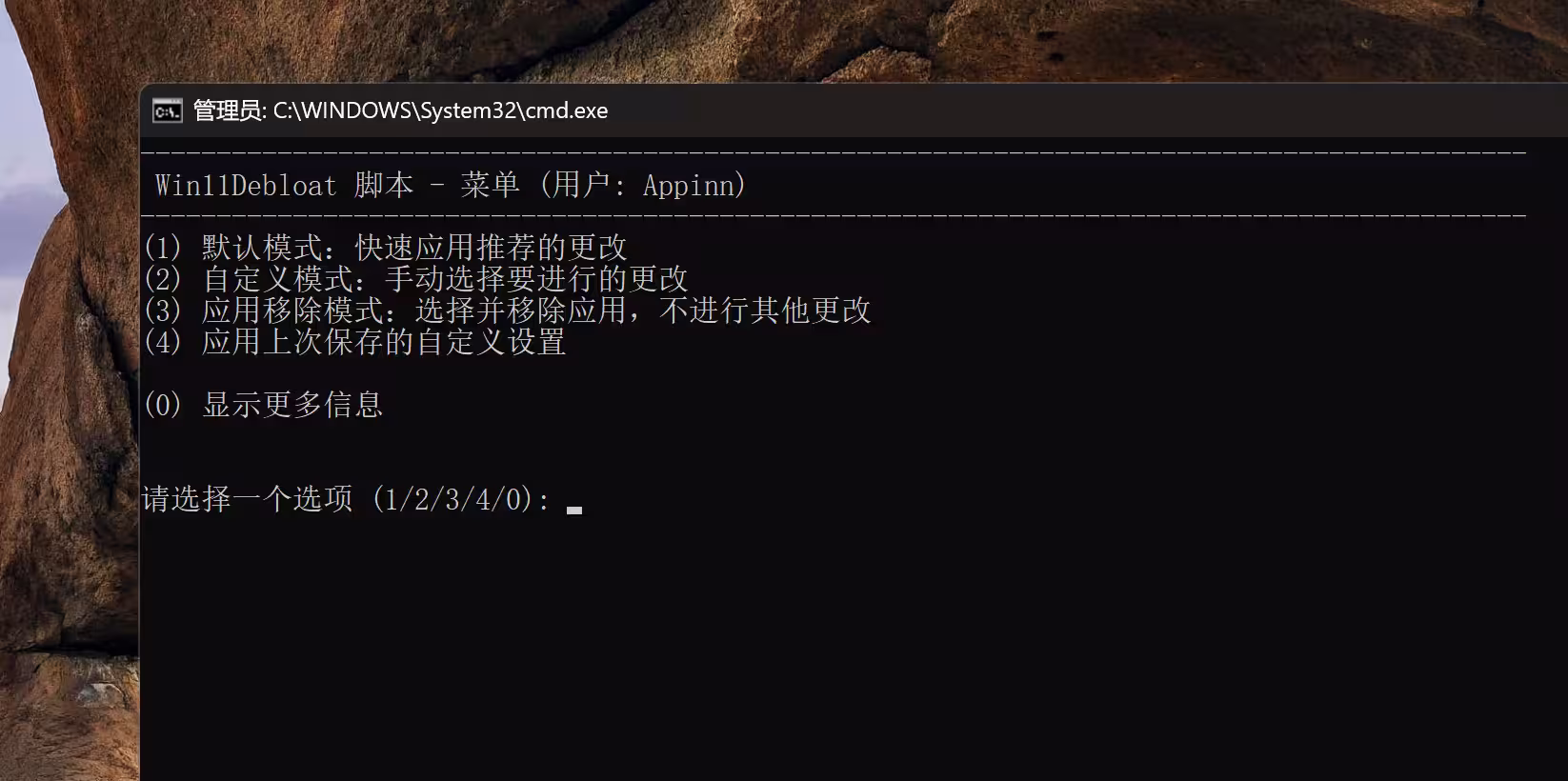 Win11Debloat - 微软欠我的性能该还了:一键卸载 90+ 款 Windows 11 预装软件 3