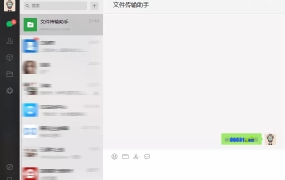 微信 4.1.1.19 绿色修改版 – 多开，防撤回牛人必备