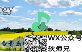 用docker自托管搭建一个洛雪音乐lxmusic助手同步服务