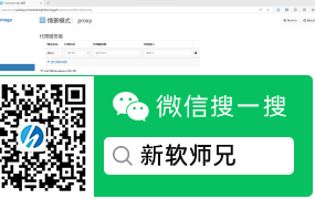 v2rayA 配置SwitchyOmega浏览器插件上网教程