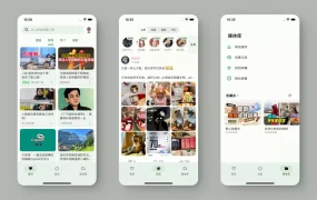 PiliPlus v1.1.5.1 非常强大的第三方版客户端 支持 手机+TV+IOS