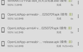手机端IDM+18.2解锁高级中文版_安卓端最强下载工具