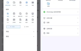 安卓MX Player_v2.4.2 解锁专业版 | 手机全能视频播放器