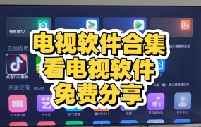 咸鱼热卖的TV软件全合集(安装即用，无付费，最新版)